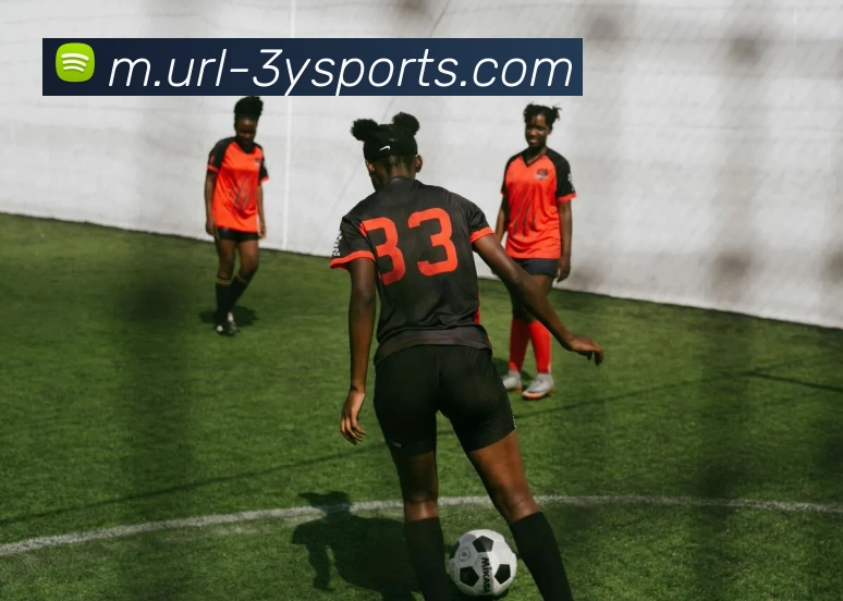 三亿体育平台生态图