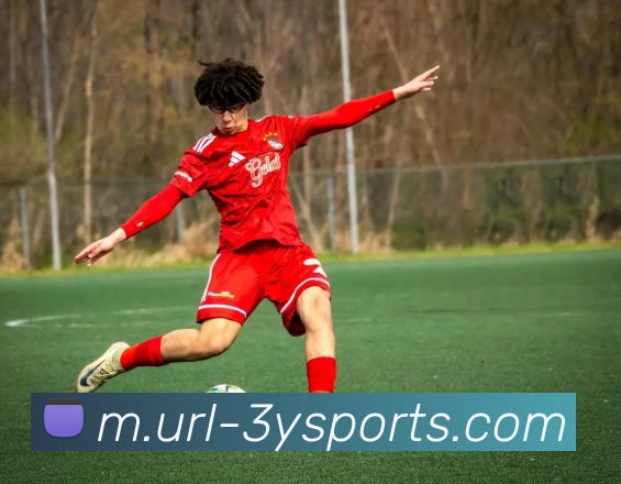 三亿体育APP 封面图